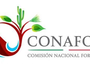 CONAFOR.jpg